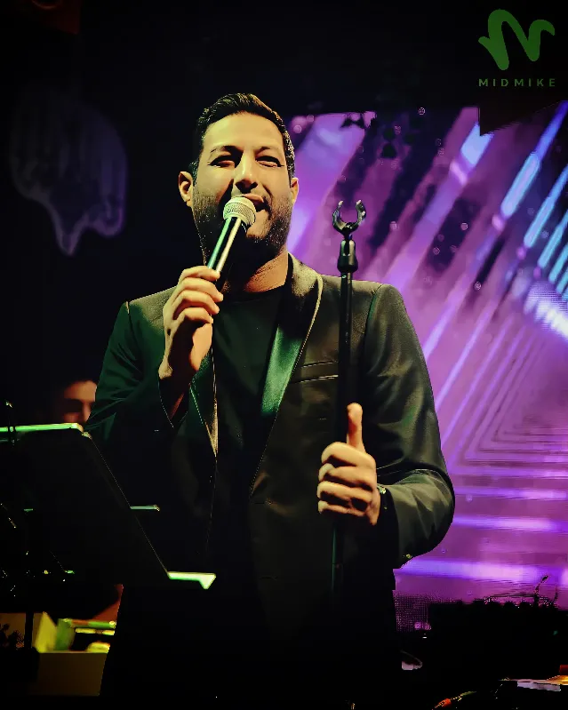 /Anis-ltayef-Chanteur-Composituer-Producer/Anis-ltayef-Chanteur-Composituer-Producer-7.webp